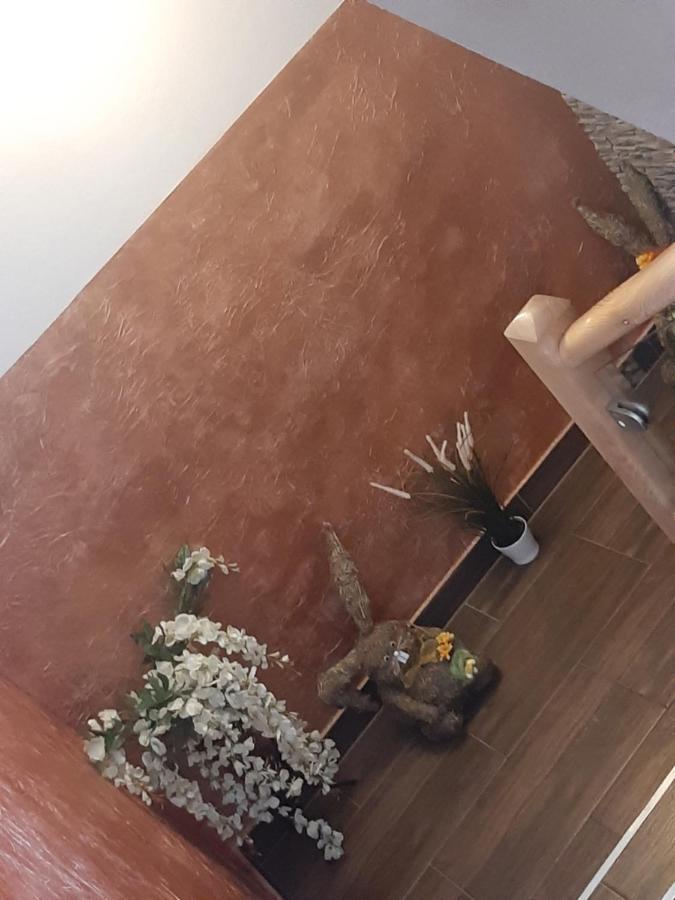 Pokoje U Mrugaly Czerwienne Extérieur photo